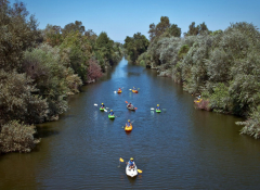 A river flanked by green trees, along it two kayaks can be seen