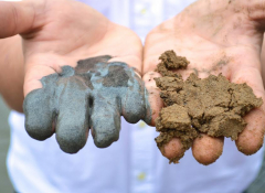 Two hands covered in coal ash