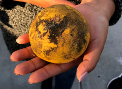 An extended hand with an orange which is covered in soot 