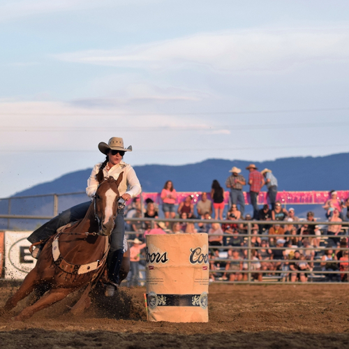 An image of a rodeo on a bright day