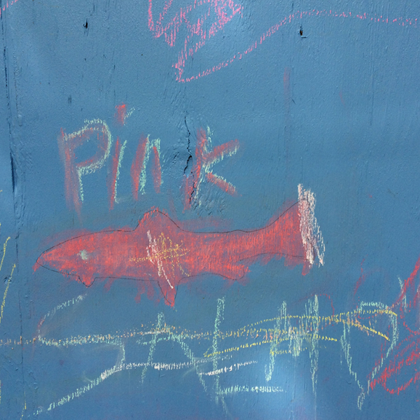 A blue wall with a pink fish drawn in chalk. The words, pink, above in chalk as well.