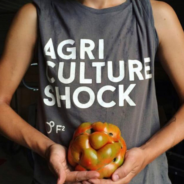 Close Up of a torso holding an heirloom tomato. "Agri Culture Shock" is seen on the shirt.